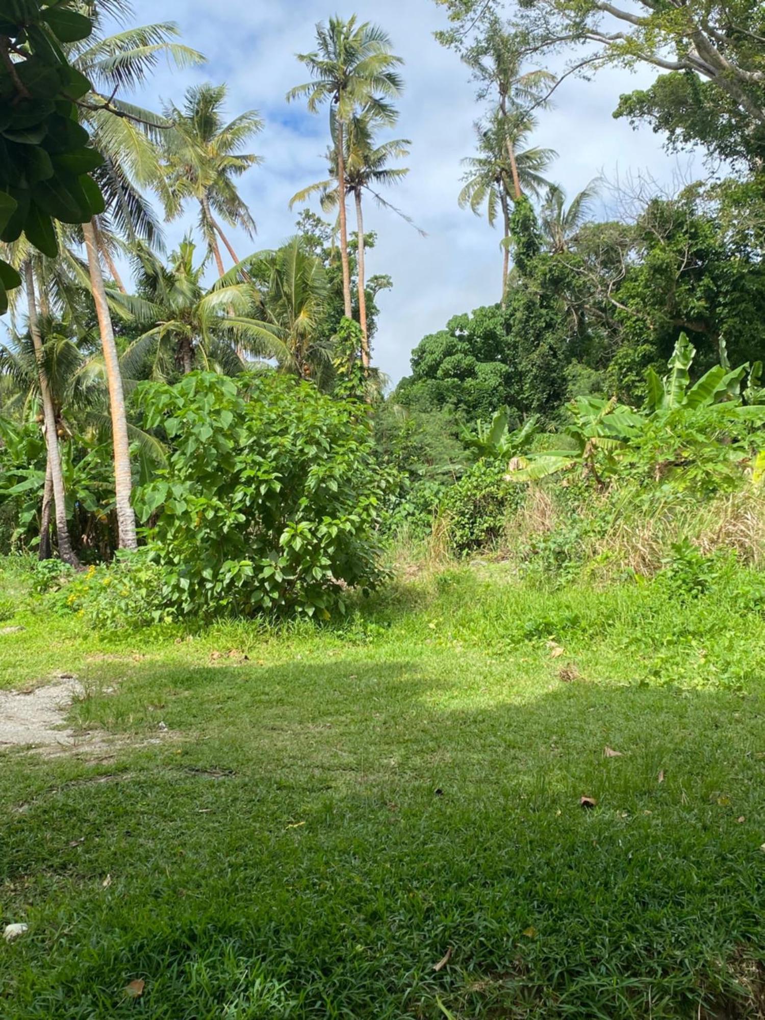 Vatupau Beachfront Bungalows Port Vila Eksteriør bilde
